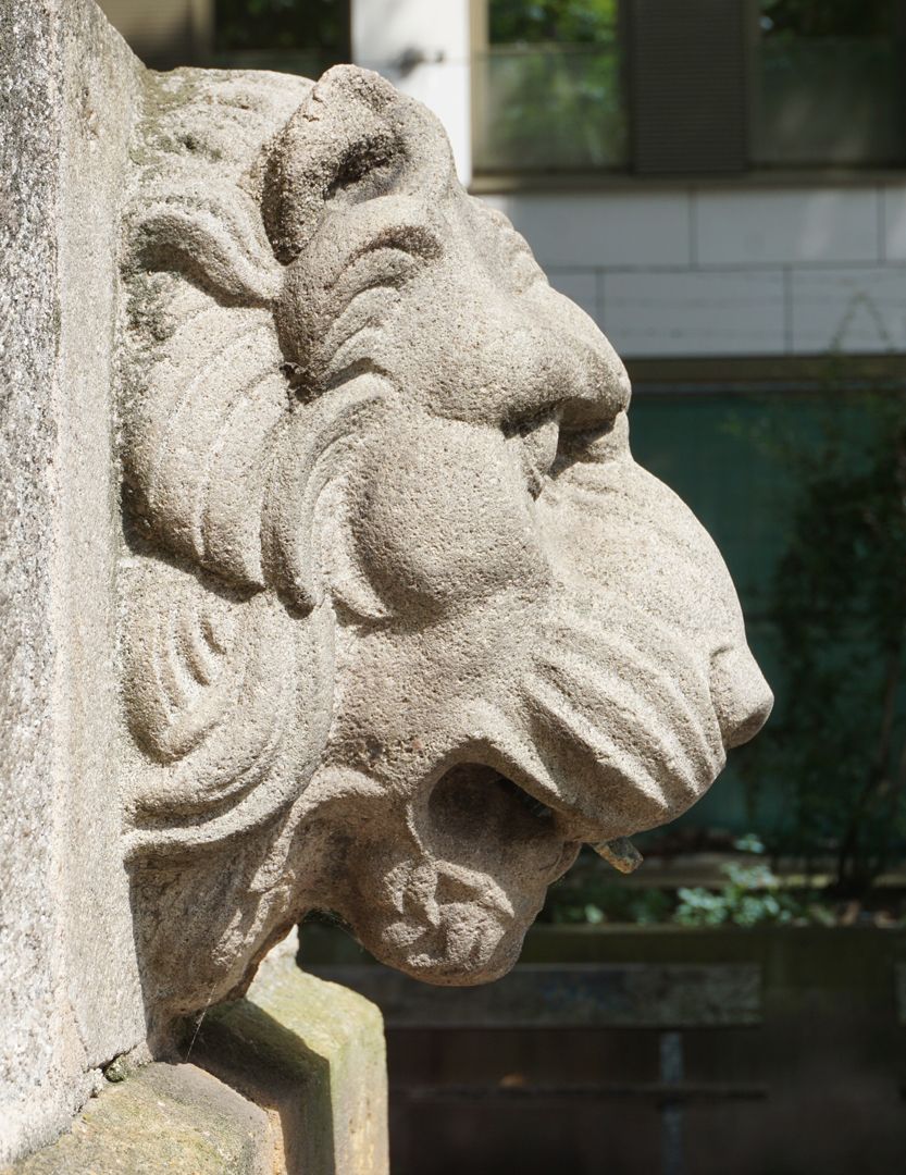 Pumpbrunnen Löwenkopf, Ansicht von Süden